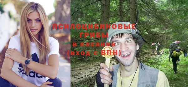 первитин Арсеньев
